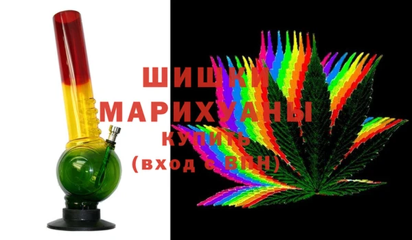 спайс Каменка