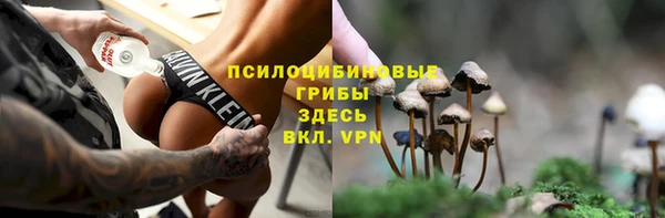 бошки Каменногорск