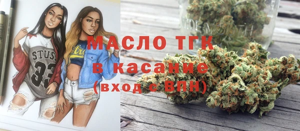 спайс Каменка
