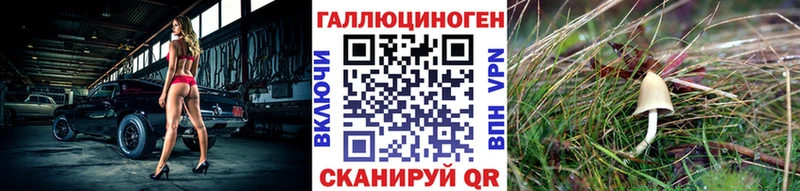Галлюциногенные грибы Cubensis  цены наркотик  Княгинино 