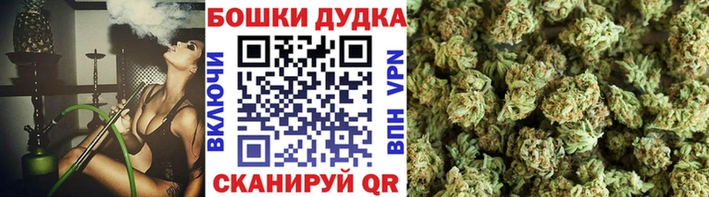 Бошки марихуана Amnesia  Княгинино 